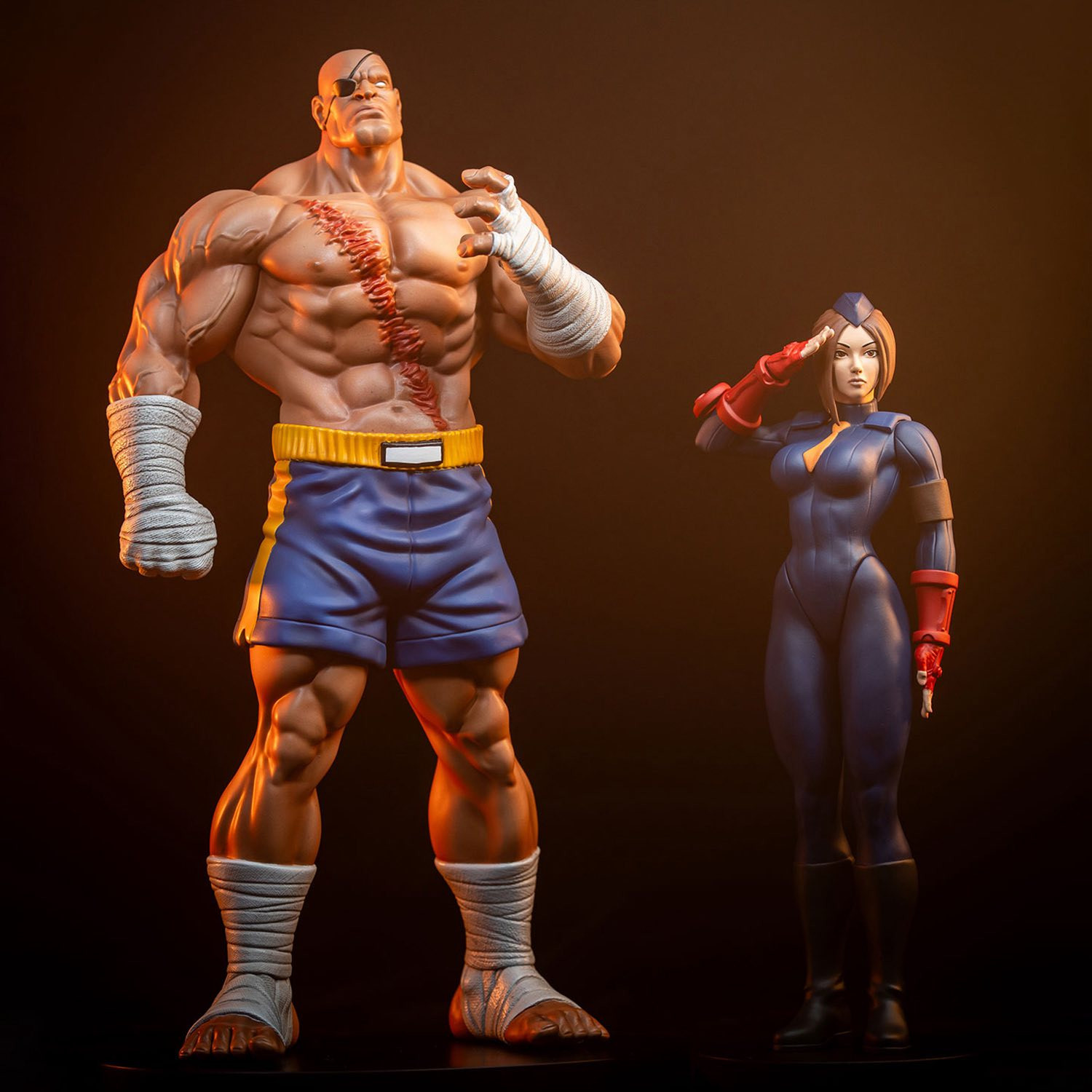 PCS : Sagat & Juli Collectible Set