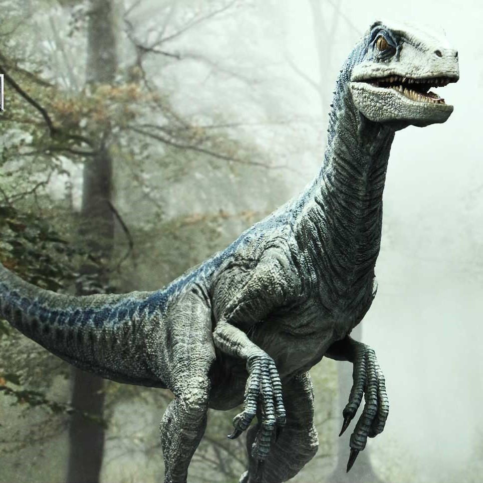 P1 PCFJW-03 1/10S BLUE 