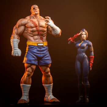 PCS : Sagat & Juli Collectible Set