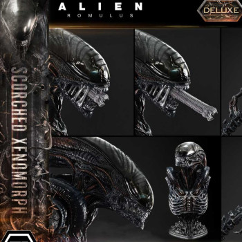 P1 MMXLAL-02DX XL Alien Romulus Scorched Xenomorph DX