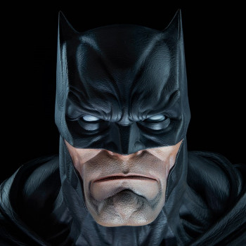 SC Batman (Comic) LiSB V2