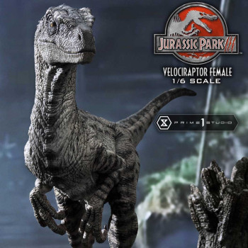 P1 LMCJP-11 Jurassic Park III Velociraptor Female