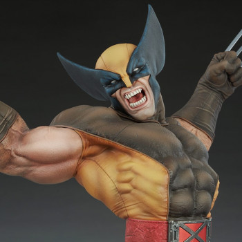 SC Wolverine PF 