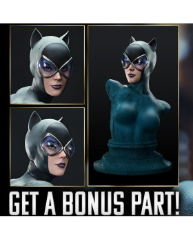P1 UPMDC-13S Batman & Catwoman by CLAY MANN Bonus