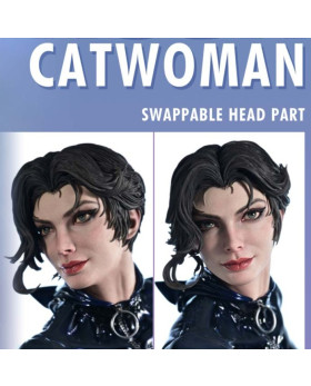 P1 REMDC-01DXS Batman Hush Catwoman DX Bonus