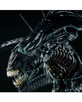 SC Alien Queen Maquette