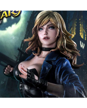 P1 MMDC-49 BLACK CANARY