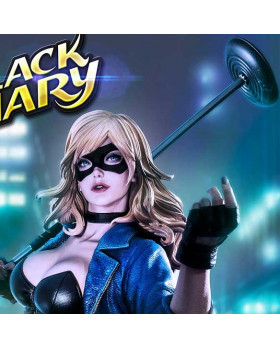 P1 MMDC-49EXS BLACK CANARY EX BONUS