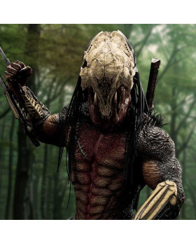 P1 MMPR-07 Prey Feral Predator