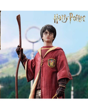 P1 PCFHP-02 Harry Potter Happy Potter
