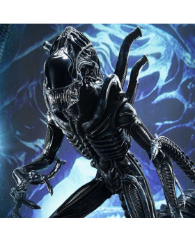 P1 PMDHAL-02 Warrior Alien
