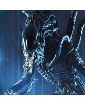 P1 PMDHAL-02DX WARRIOR ALIEN DX