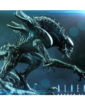 P1 PMDHAL-05 TUSKED ALIEN