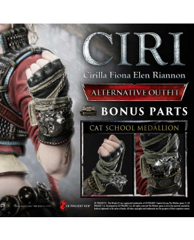 P1 PMW3-10DXS CIRILLA FIONA ELEN RIANNON  ALTERNATIVE OUTFIT DX BONUS
