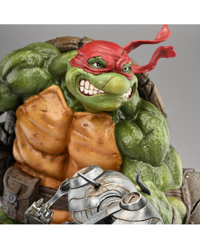 PCS 1/3S TMNT Raphael DX