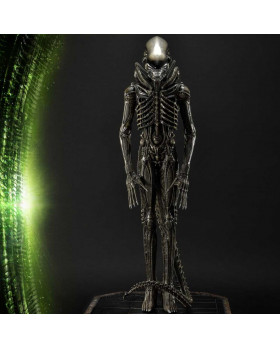 P1 WAAL-06LM ALIEN BIG CHAP “MUSEUM ART” LIMITED VER